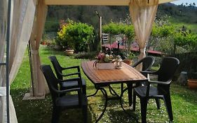 Casa Lilly